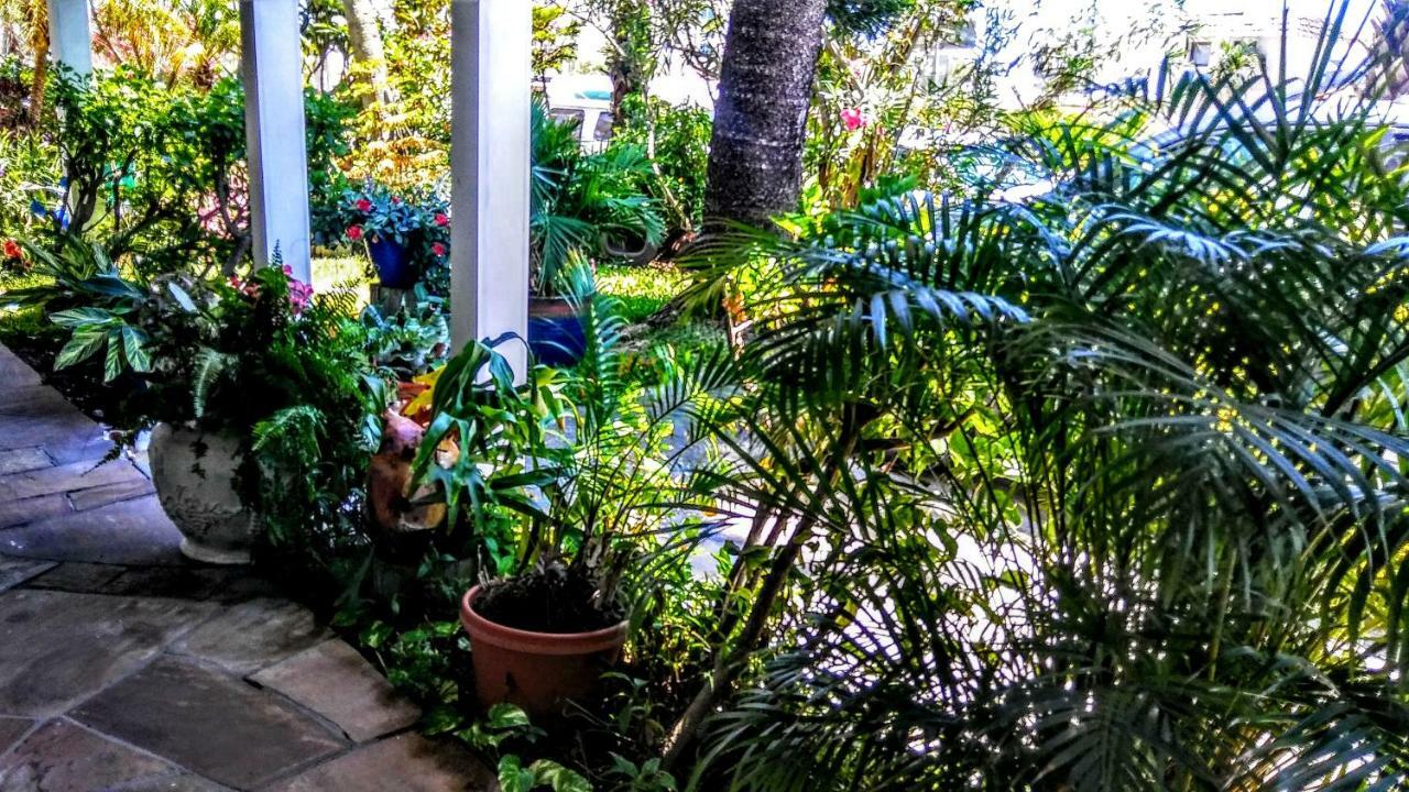 Boca Ciega Bay Apartment St. Pete Beach Eksteriør bilde
